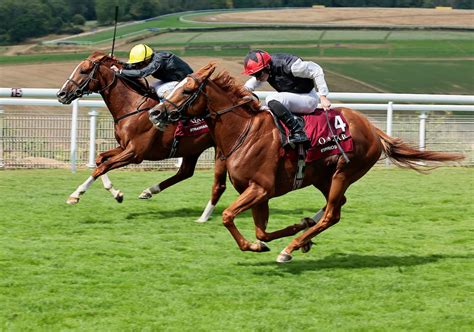 Goodwood Cup Stakes Entries: Kyprios, Stradivarius and .